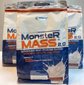 تصویر گینر مانستر مس بایوژنیکس / BIOGENIX Monster Mass 