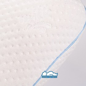 تصویر بالش Axon کلاسیک 