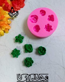 تصویر قالب کاکتوس وارمری 