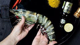 تصویر شاه میگو ببری 