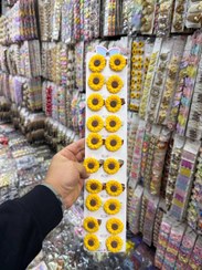 تصویر گیره افتابگردان کد۰۹ 