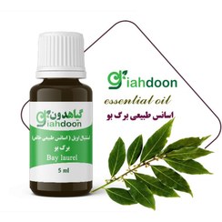 تصویر اسنشیال اویل برگ بو 