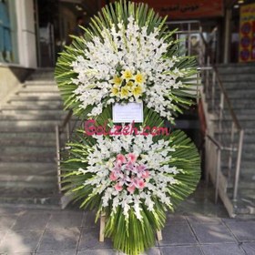 تصویر تاج گل ختمی 