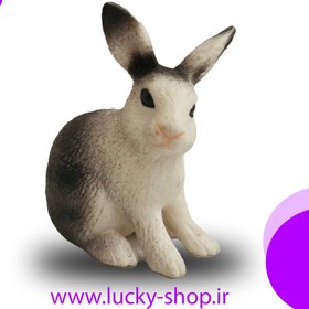 تصویر فیگور خرگوش (سری یک) rabbit 