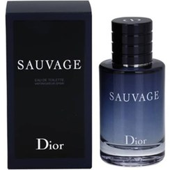 تصویر عطر ادکلن دیور ساواج 100میل روونا (Dior Sauvage Rovena) 