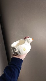 تصویر جا کاموایی مرغ 