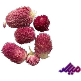 تصویر گل خشک دکمه ای 5 تایی 