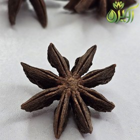 تصویر بادیان ستاره ای 