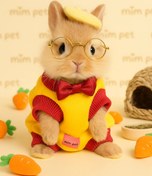 تصویر لباس و‌دورس خرگوش 