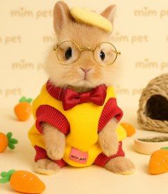 تصویر لباس و‌دورس خرگوش 