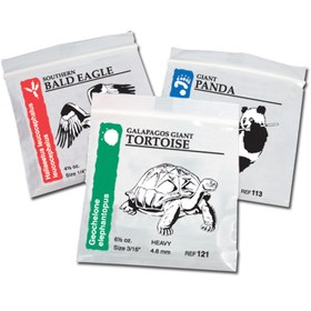 تصویر الاستیک ارتودنسی 