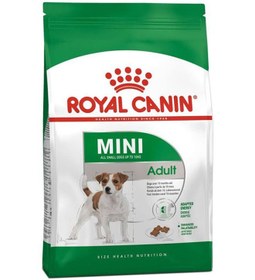 تصویر غذای خشک مینی بزرگسال ۲ کیلوگرم برند royal canin 