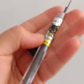 تصویر مغز اتود دومیل 