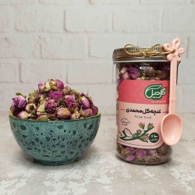 تصویر غنچه گل محمدی گل‌جیل 