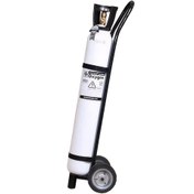 تصویر سیلندر اکسیژن امید فردا ظرفیت 20 لیتر 