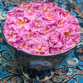 تصویر گل محمدی 