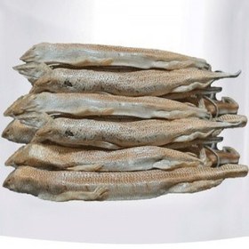 تصویر ماهی سمنقور 