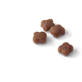 تصویر غذای خشک گربه رویال کنین مدل مادر اند بی بی (فله ای) - 1 کیلوگرم Royal Canin Mother & Baby Dry Cat Food