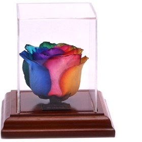 تصویر گل رز جاودان مدل مکعب ساده چوبی Eternal rose, simple wooden cube model