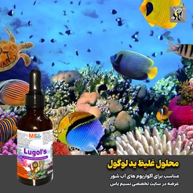 تصویر محلول لوگول ید غلیظ آب شور ام اف آکوا MF aqua Purple Max 250ml