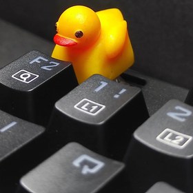 تصویر دکمه کیبورد مکانیکال کیکپ مدل اردک duck mechanical keycap