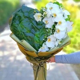 تصویر باکس ولنتاین سبز 