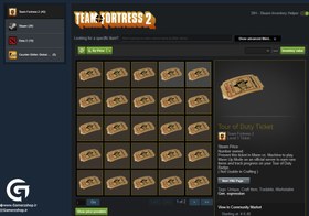 تصویر تیکت Team Fortress 2 Tour of Duty 