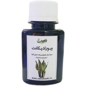 تصویر کود رشد بیواردیکانت ۶۰میلی لیتر Bioradicant 60ml