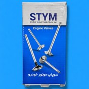 تصویر سوپاپ خودرو اس تی وای ام مدل یورو ۴ مناسب برای پراید بسته ۸ عددی 