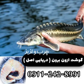 تصویر ماهی اوزون برون دریایی کیلویی 