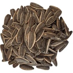 تصویر تخمه آفتابگردان طعم پنیری 