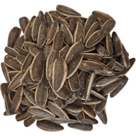 تصویر تخمه آفتابگردان طعم پنیری 