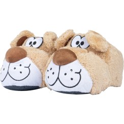 تصویر پاپوش فانتزی زنانه مدل ws1105 