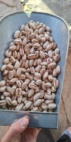 تصویر پسته اکبری درشت ۴۰۰گرم 