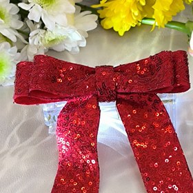 تصویر پاپیون پولکی 