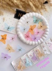 تصویر کلیپس مینی پروانه یخی 