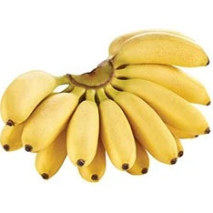 تصویر فروشگاه پالامی