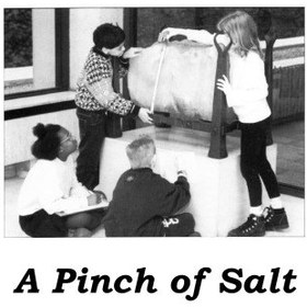 تصویر دانلود کتاب Pinch of Salt: A Cross-curricular Teaching Pack for 9-11 Year Olds 1994 کتاب انگلیسی کمی نمک: بسته آموزشی متقابل برای کودکان 9-11 ساله 1994