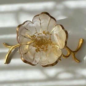 تصویر پیاله رزینی 