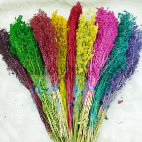 تصویر گل خشک مدل سبزه ریزه 