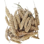 تصویر ارزن خوشه ای 