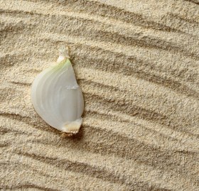 تصویر پودر پیاز(20 کیلویی) 