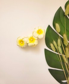 تصویر کلیپس فومی سه گله کد 10031142 