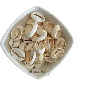 تصویر صدف طبیعی ده عددی 