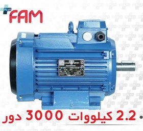 تصویر الکتروموتور 3 فاز فریم 90L آلومینیومی 2.2 کیلووات (3 اسب) 3000 دور موتوژن Electric motor 3-phase 90L aluminum frame 2.2 kW (3 hp) 3000 rpm