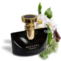 تصویر جاسمین نویر بولگاری Bvlgari Jasmin Noir 