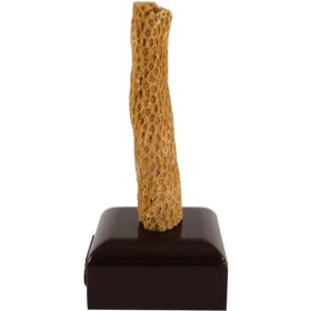 تصویر فسیل کد 3283 