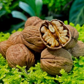 تصویر گردو پوست کاغدی 