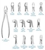 تصویر فورسپس بزرگسال/Smart Instru Forceps - فورسپس عقل بالا Smart Instru Forceps