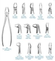 تصویر فورسپس بزرگسال/Smart Instru Forceps - فورسپس ریشه کش بالا و کوتاه و باریک Smart Instru Forceps